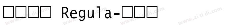 飞花宋体 Regula字体转换